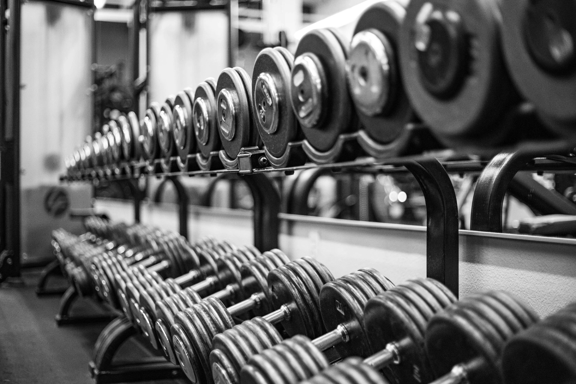 Gym Owners